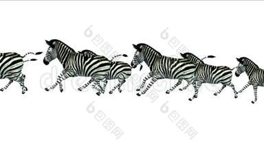 斑马群马驴动物剪影迁徙奔跑，非洲草原。